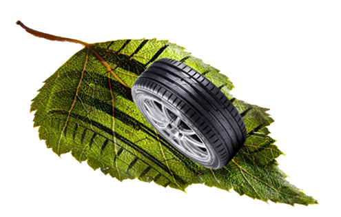 Eco Life 2014